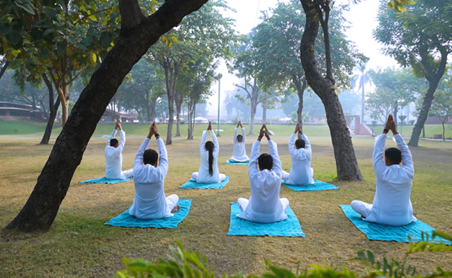 Wellness Resort